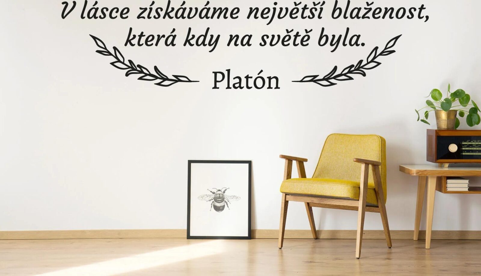 Lepy.cz Samolepka na zeď Platón citát Velikost (šířka x výška): 80x20cm